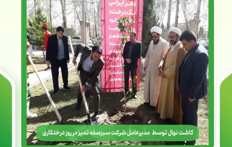 کاشت نهال توسط مدیرعامل شرکت سبزصفه تمیز در روز درختکاری